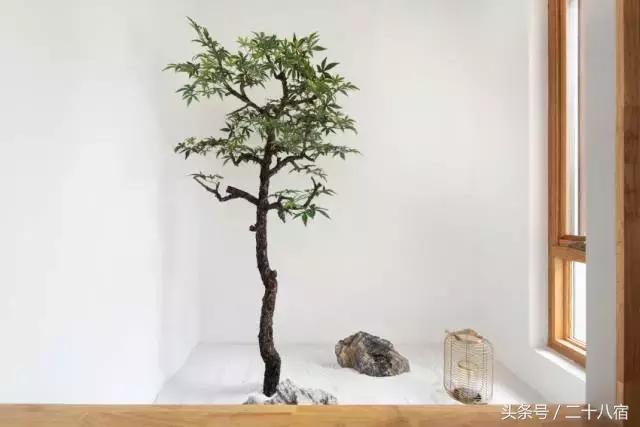 己舍|建筑系学霸表达爱的特殊方式