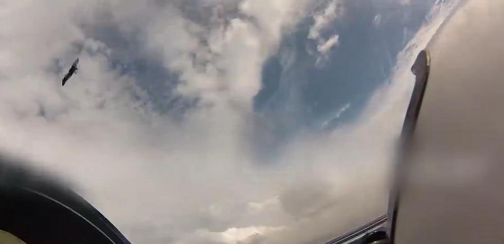 训练画面越南空军苏30,越南空军苏30机库