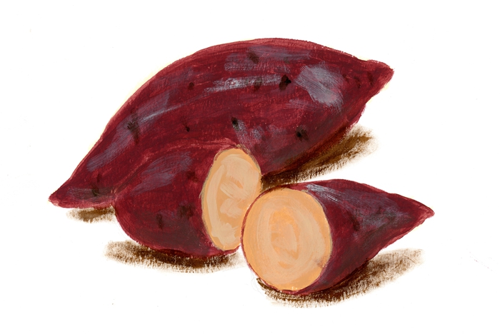 吃红薯柿子引起肠梗阻,吃凉红薯引起的肠梗阻怎么办