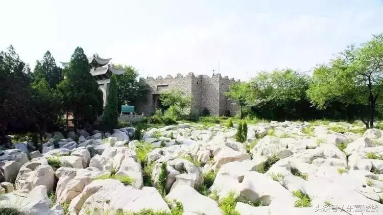 东营五一假期好去处,五一东营去哪里玩比较好