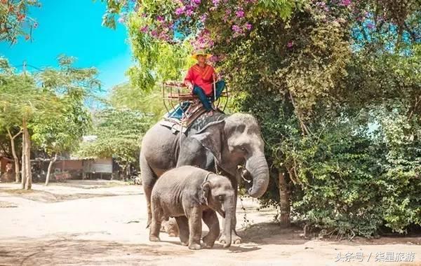 莆田亲子游推荐地方,武汉周边亲子游最佳地方推荐