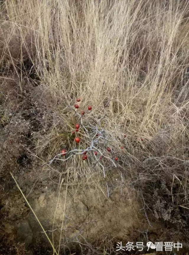 祁县三个村,祁县所有村名单