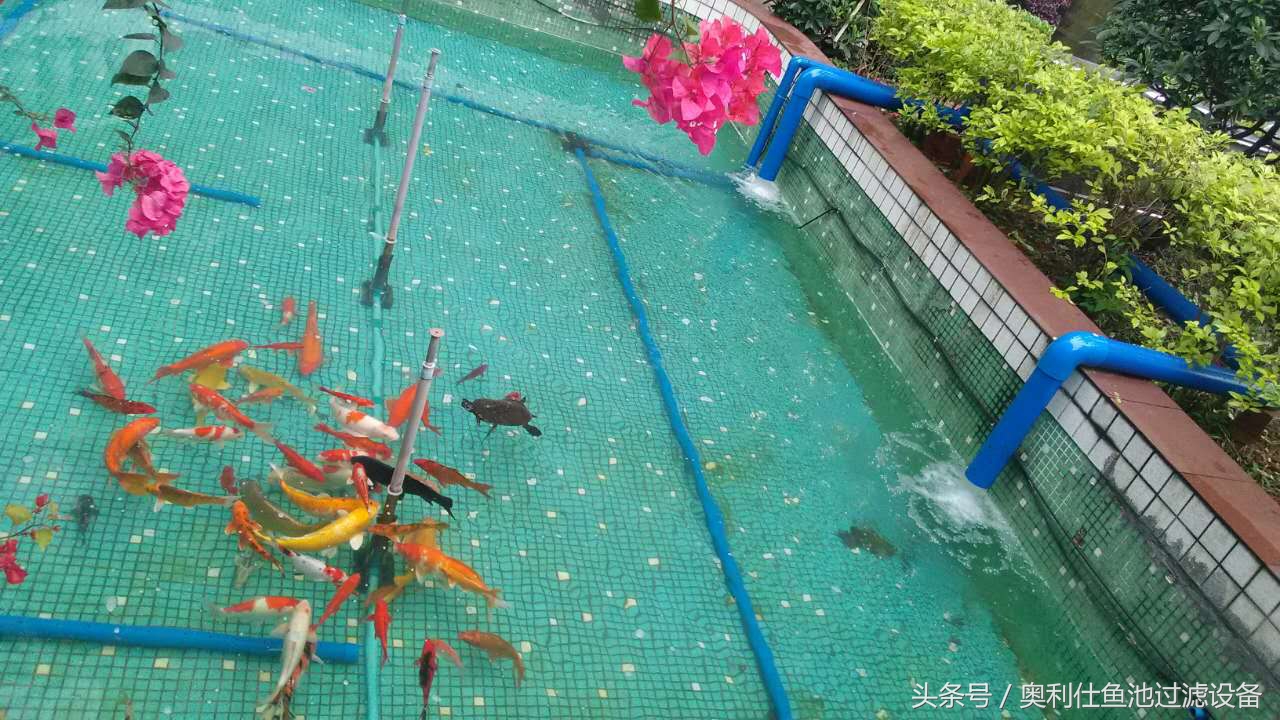 22立方鱼池价格一览表,36平方鱼池建造价格一览表