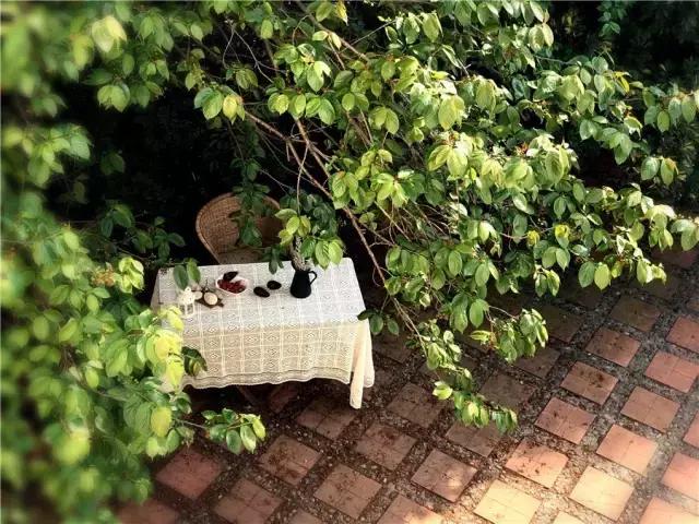 成都周边适合一家人度假民宿,成都出发两日游住民宿