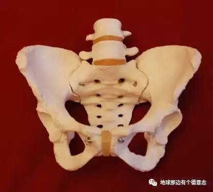 咪私料｜我的德国育儿日记之：产前夫妻培训课程（1）