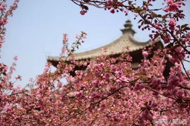 晋景：对不起，我要去榆次了，别再找我了！