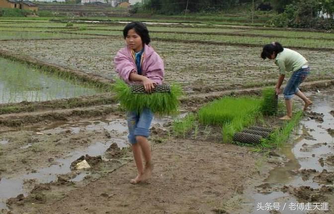 梁平2017放暑假时间锁定~我们曾有的每学期8天农忙假那去了