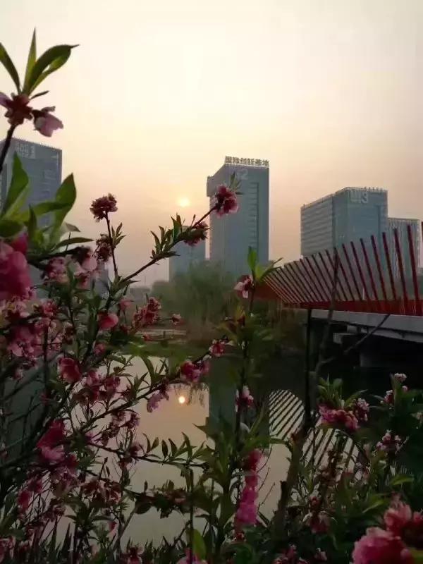 常州科教城到底怎么样,常州科教城能发展起来吗