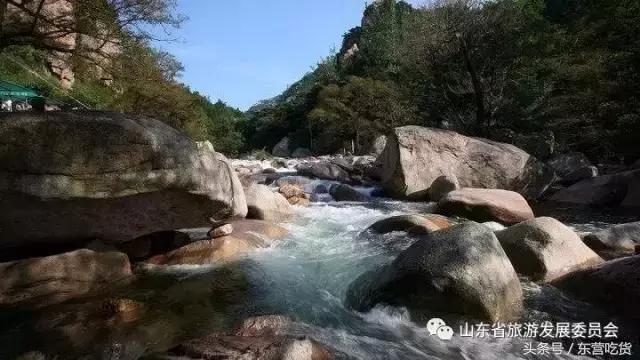 东营五一假期好去处,五一东营去哪里玩比较好