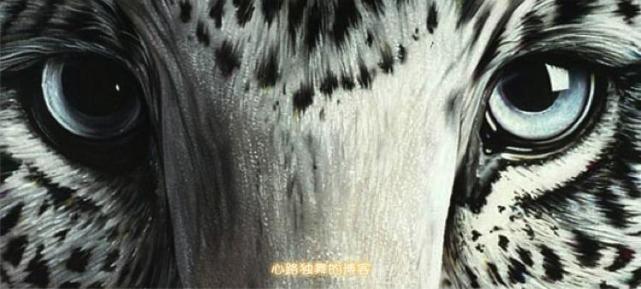 艺术家用自然物制作的作品图片,艺术家用自然的图案变成图谱