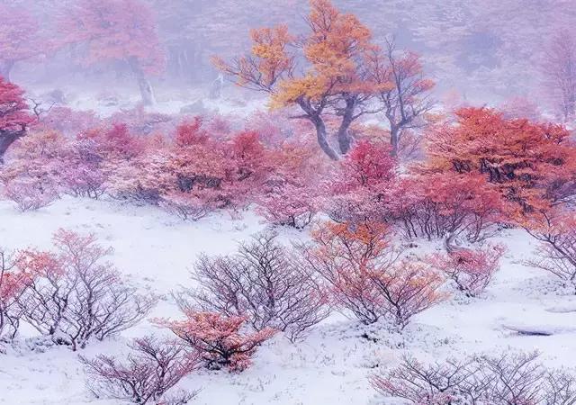 此生余年，和你一起看漫天雪舞