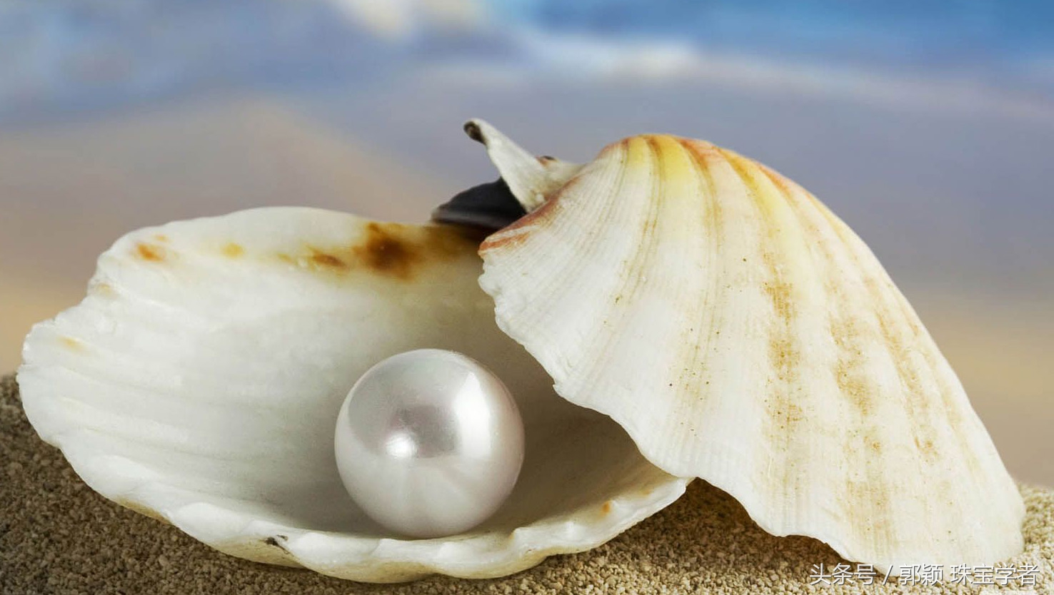 天然珍珠是什么样的,天然珍珠真的是纯天然的吗