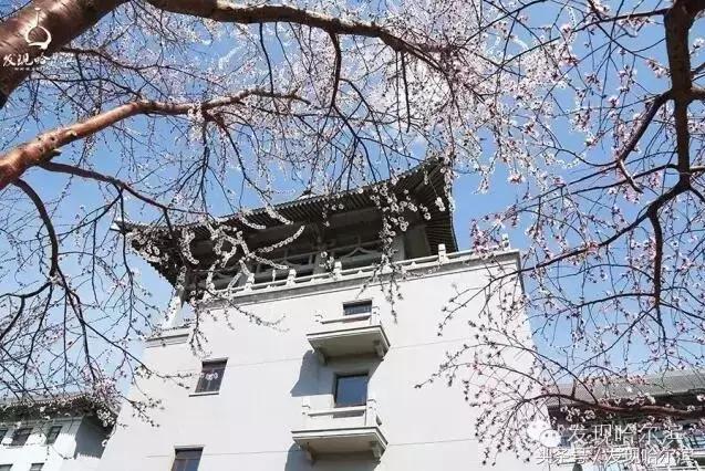 春天哈尔滨好玩的地方,哈尔滨春天景色