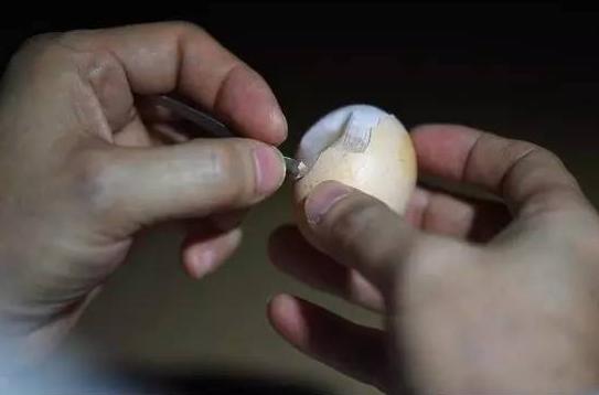 猪肉胡萝卜豆腐,猪肉胡萝卜豆腐大锅菜