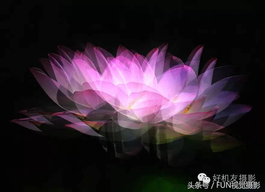 花卉创意摄影作品欣赏,花卉创意摄影十个技巧是什么