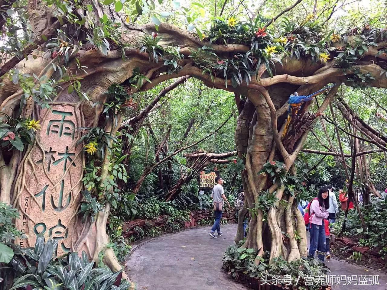 广州长隆海洋王国一日游攻略,广州长隆海洋王国亲子攻略