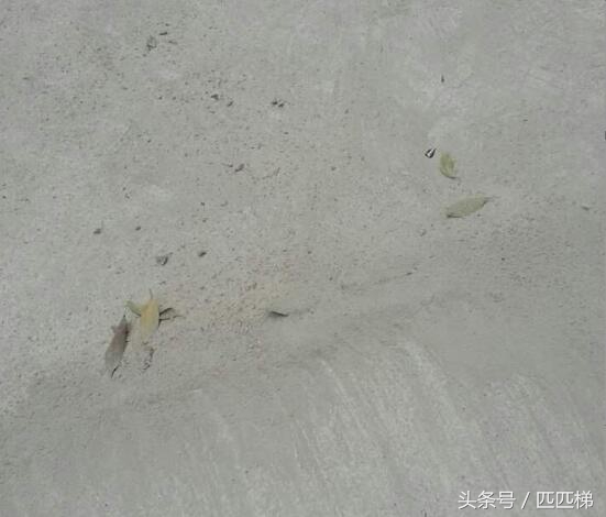 混凝土太硬了打不掉怎么办,混凝土硬度达不到补救