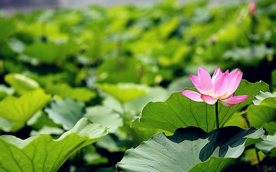 男生用卫生巾能救命吗,卫生巾男生没有病可以用吗
