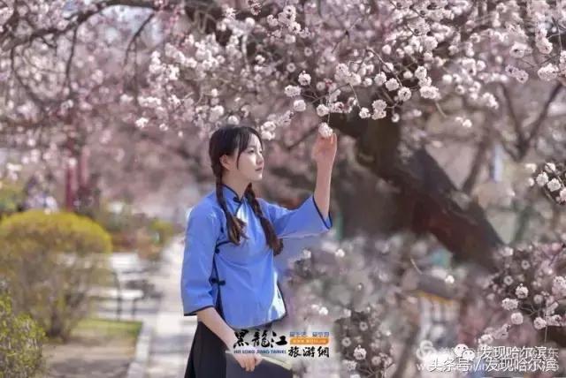 春天哈尔滨好玩的地方,哈尔滨春天景色