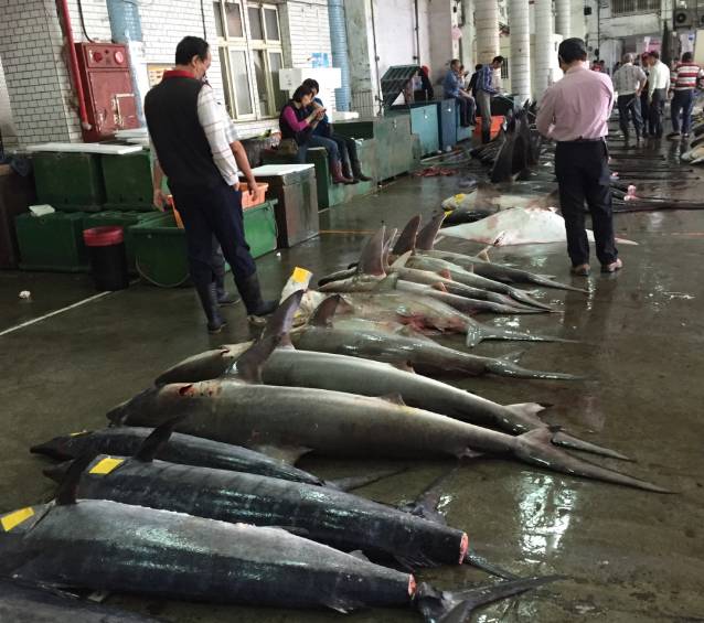 宜兰一日游最佳攻略,宜兰自由行热门攻略