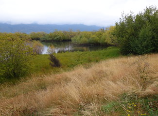 致敬·新西兰OnceisforAll