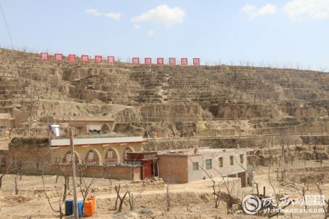 党建引领乡村振兴发展集体经济,党建带动乡村振兴的方法