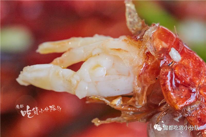 站对帮派,撸虾才划算