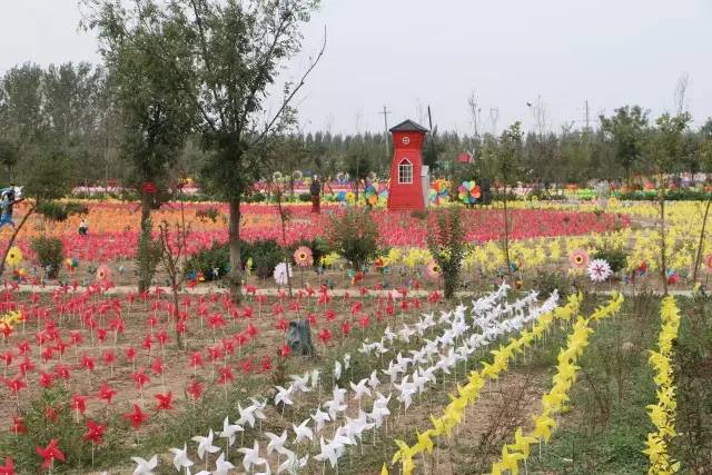聊城市五一小长假去哪里玩,聊城五一假日攻略