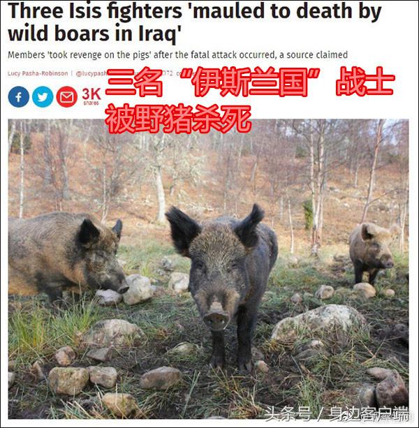 早点晚报：郑州航展今日飞天！郑报融媒现场直播，扫码就能围观