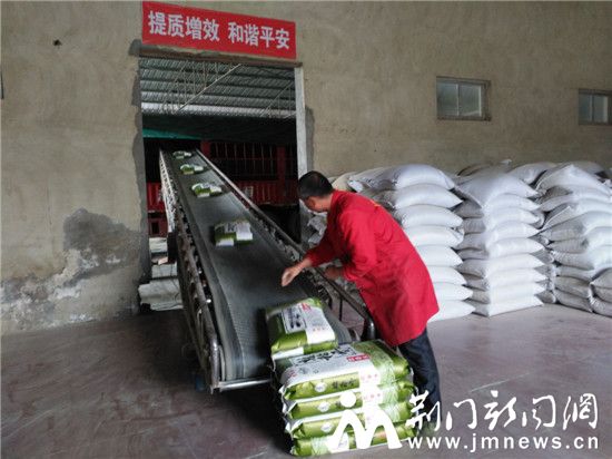 东鳄西稻的沙洋“爱恋”