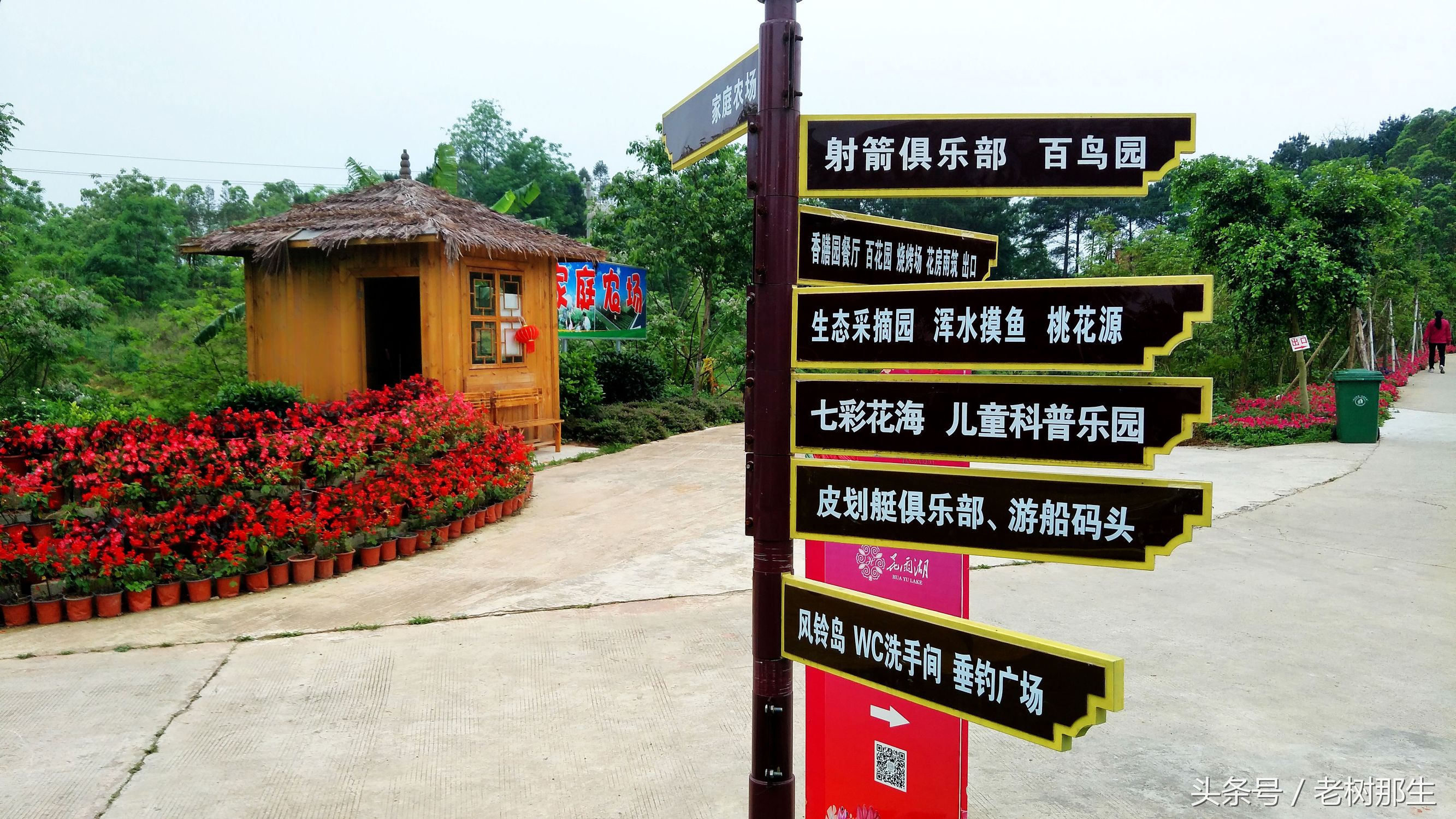 南宁花雨湖景区好玩吗,南宁花雨湖风景区