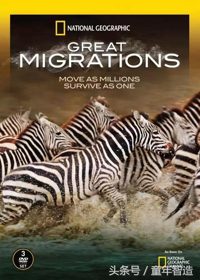 假期一定要带孩子看的5部纪录片,孩子必看的10部自然纪录片