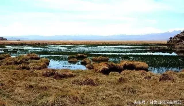 甘肃这个小边防县，人少景美就算了，居然还有雪豹棕熊和赤狐！