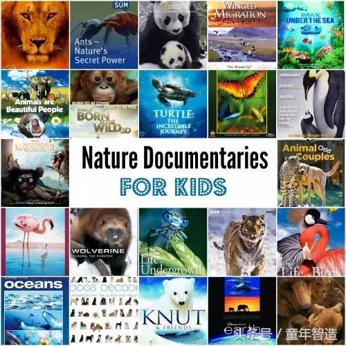 假期一定要带孩子看的5部纪录片,孩子必看的10部自然纪录片