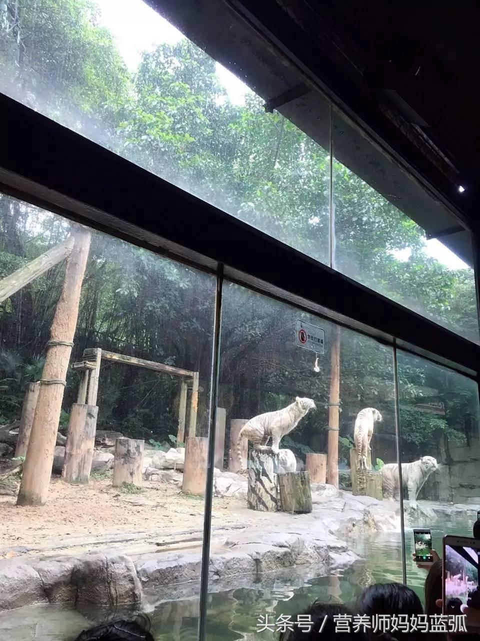 广州长隆海洋王国一日游攻略,广州长隆海洋王国亲子攻略