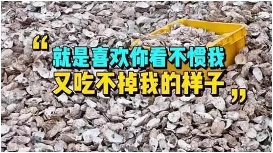 丹麦生蚝泛滥解决办法,丹麦生蚝泛滥的解决办法