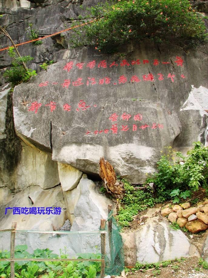 田东大石山区有个别墅村，蔬菜种在屋顶上