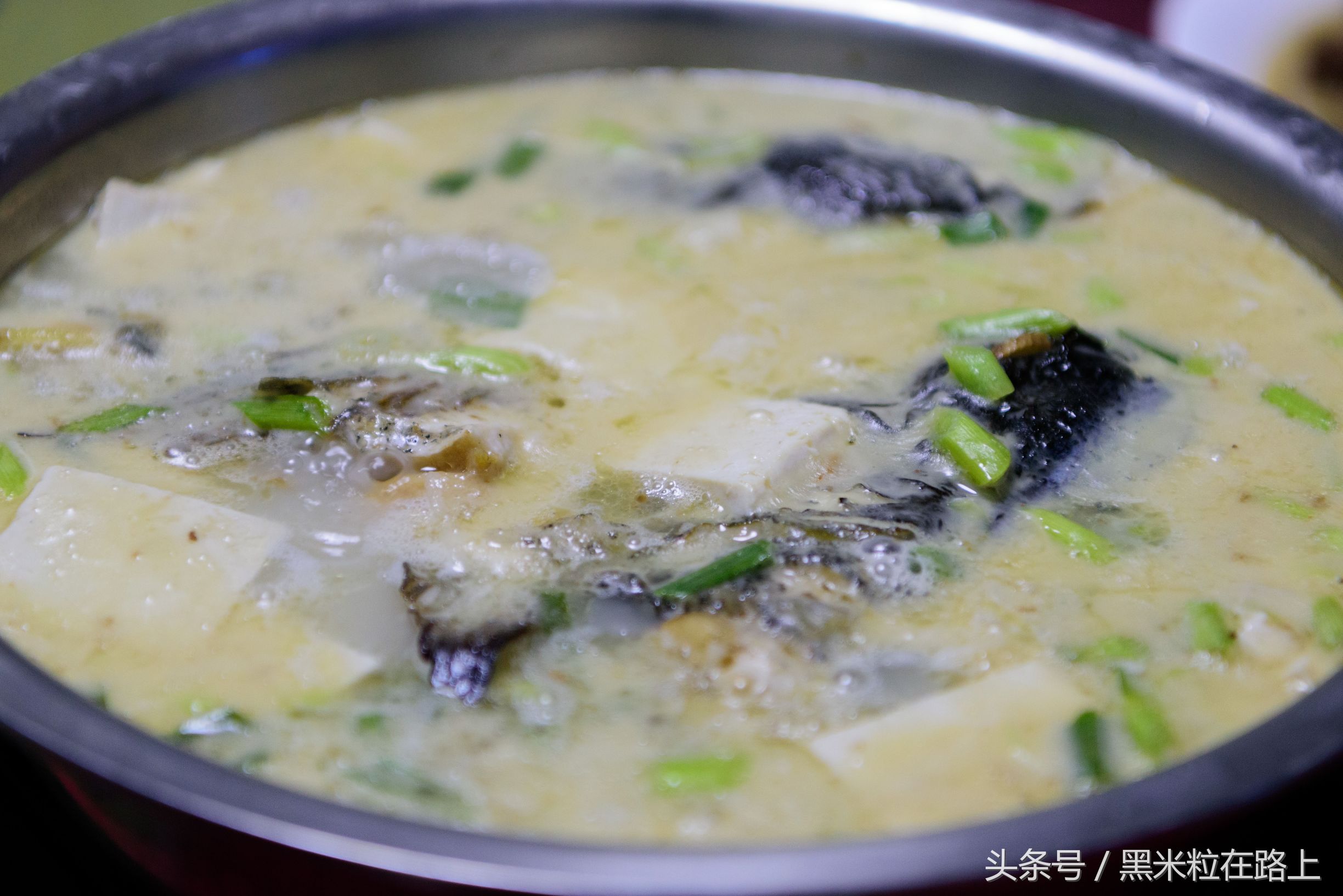 青田侨乡游玩,青田感受欧陆风情