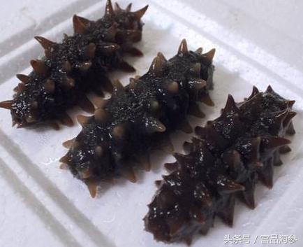 有人说海参太贵吃不起,教你如何快速制作咬得动的活海参