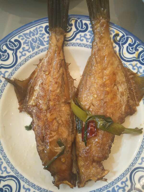 麦吉减肥法第二阶段吃多少,麦吉减肥法二阶段