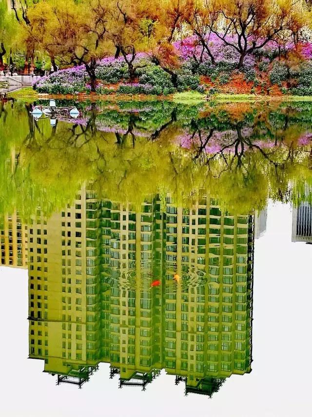 4月照片,4月的照片大全