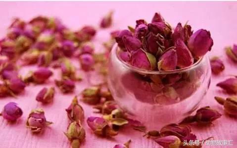 肝气不足喝什么代茶饮好,疏肝理气代茶饮有什么经典名方