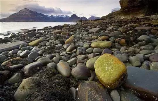 出门旅行,有些纪念品最好不要带回家