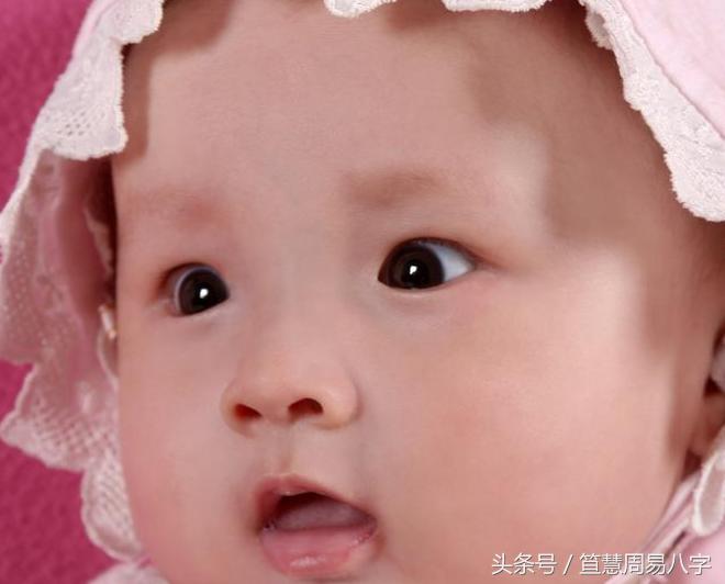 好听的云兴霞蔚、百卉含英带姝字的女孩名字案例欣赏