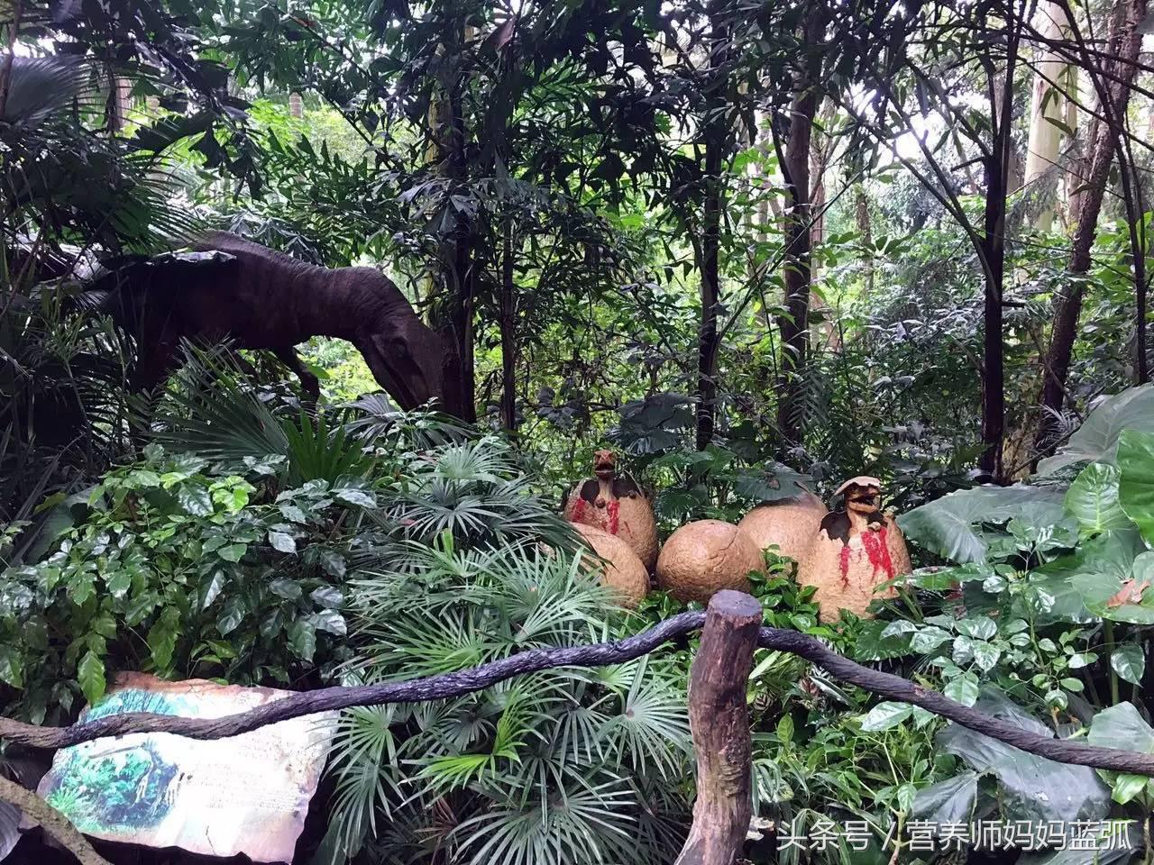 广州长隆海洋王国一日游攻略,广州长隆海洋王国亲子攻略