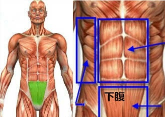 下腹肌专项增肌训练：8个动作让腹肌立体性感有型绽放魅力
