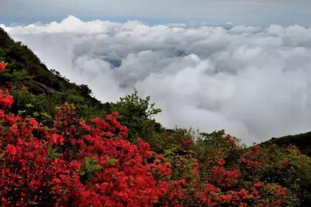 跟着小路旅游不迷路,婺源五一适合去哪里玩