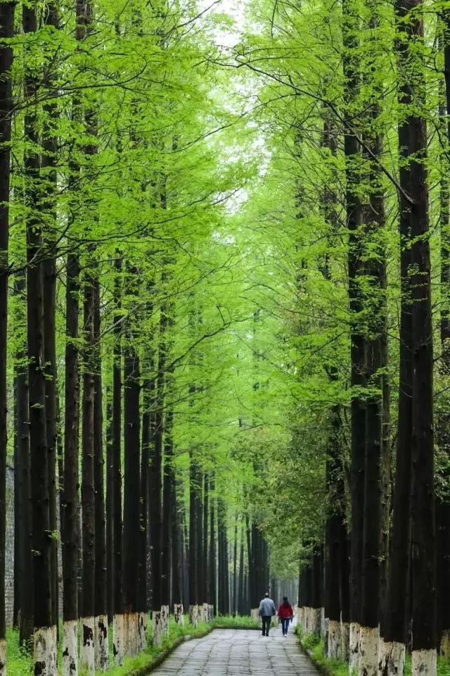 摄友作品点评,4月拍照