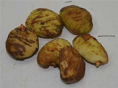 山竹种多久才可以开花结果,山竹是这样种的