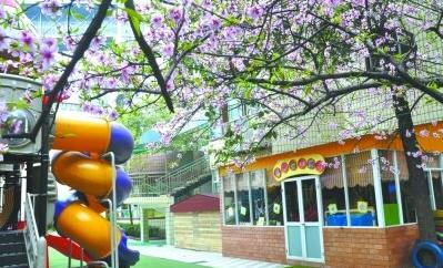 成都青羊区幼儿园名录,成都市青羊区幼儿园名单